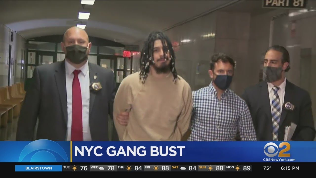 8 Alleged Gang Members Charged In Financial Crime Spree