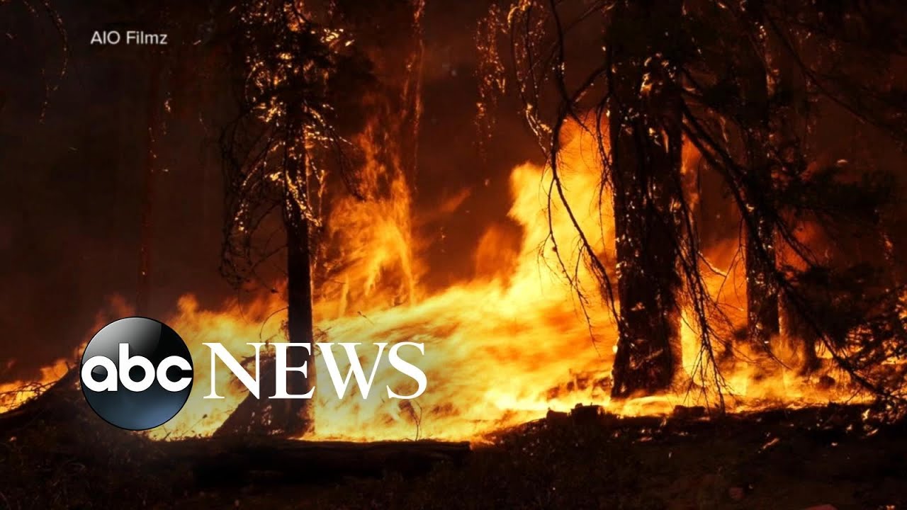 Wildfire becomes 3rd largest in California history | WNT