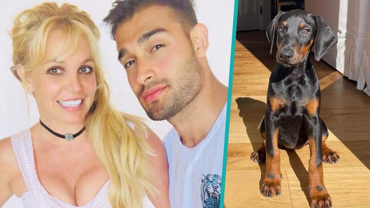 Britney Spears’ Fiancé Sam Asghari Surprises Her With New Doberman Puppy To ‘Protect’ Her
