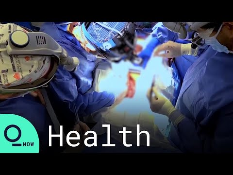U.S. Doctors Transplant Pig Heart Into A Human in Medical First