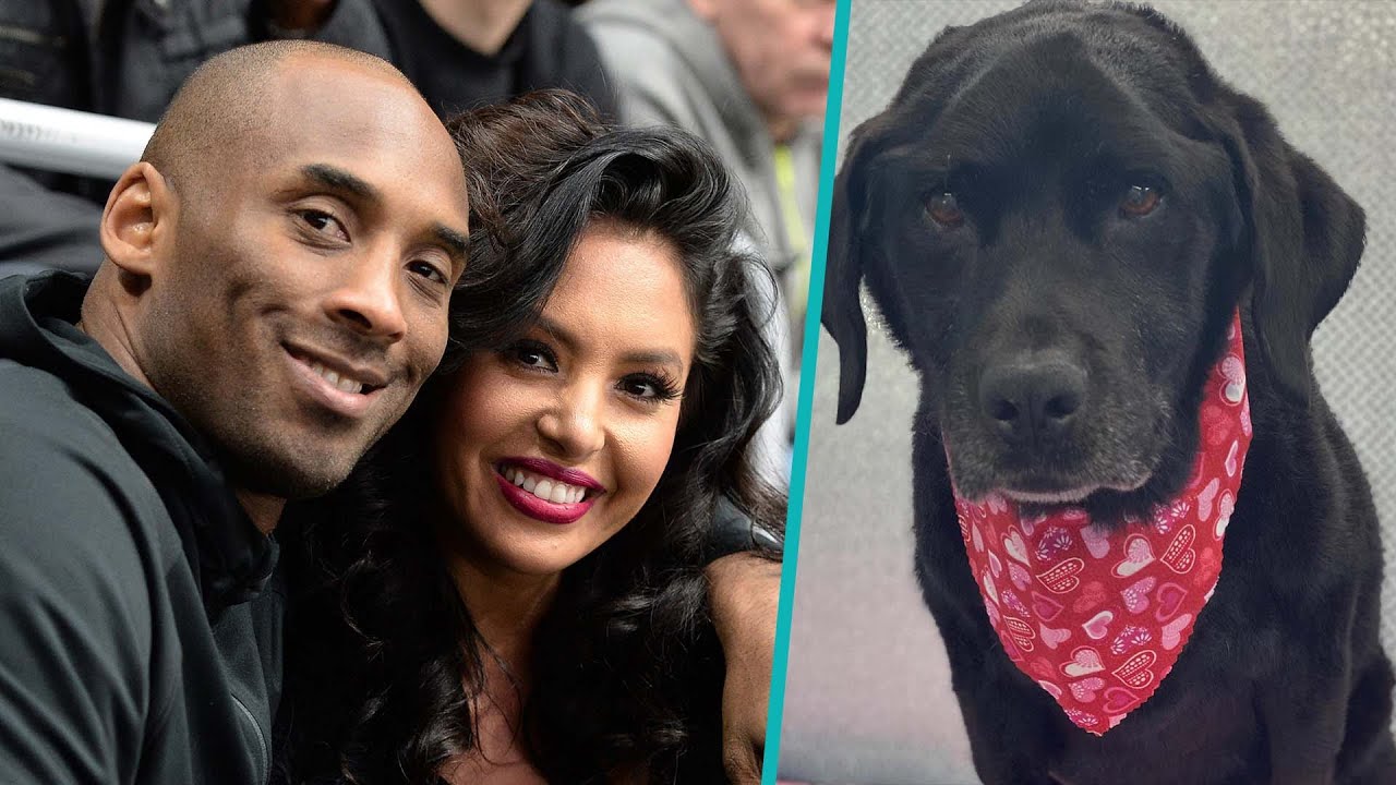 Vanessa Bryant Mourns Her & Kobe Bryant’s Beloved Family Dog