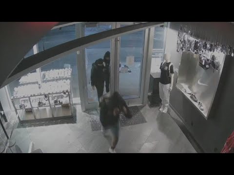 Video shows group ransack high-end boutique in Queens