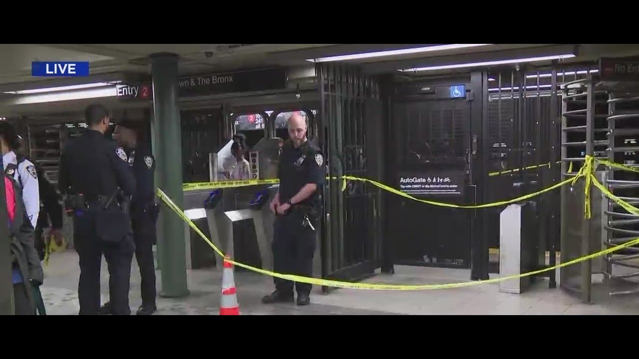 Gun fired inside Manhattan subway station, suspect in custody: NYPD